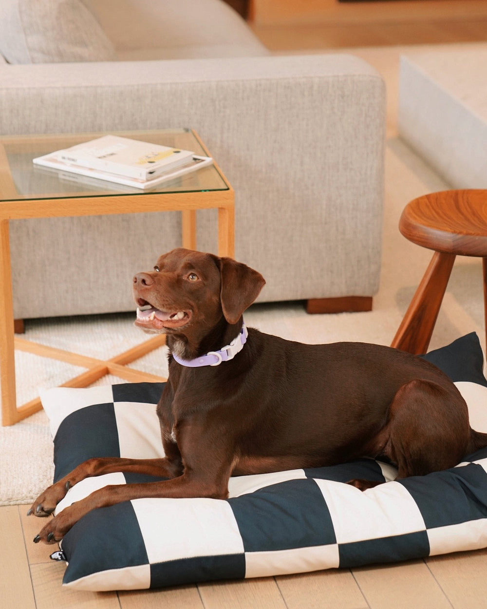 Sample Sale Beds