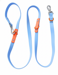 The Fritz Leash