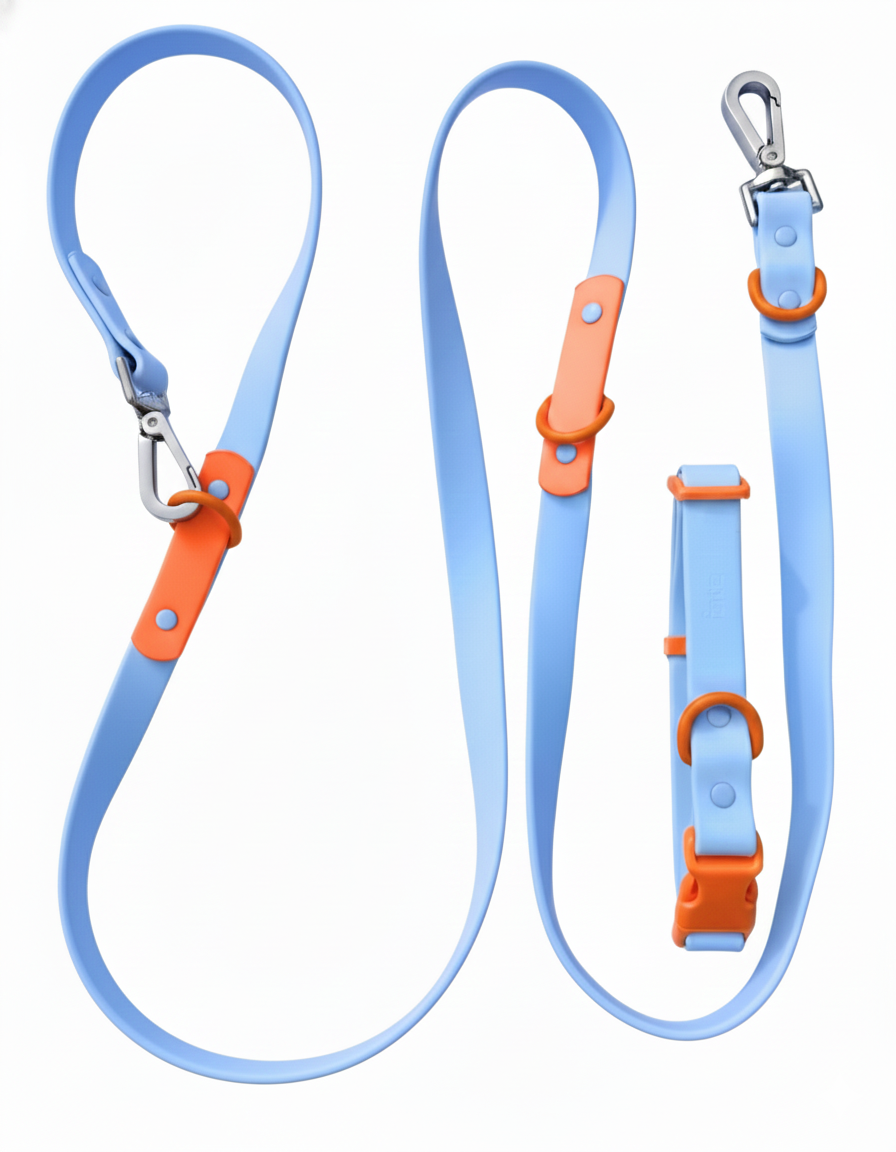 Ensemble pour promenade Fritz Walk – Laisse et collier imperméables et réglables pour chien