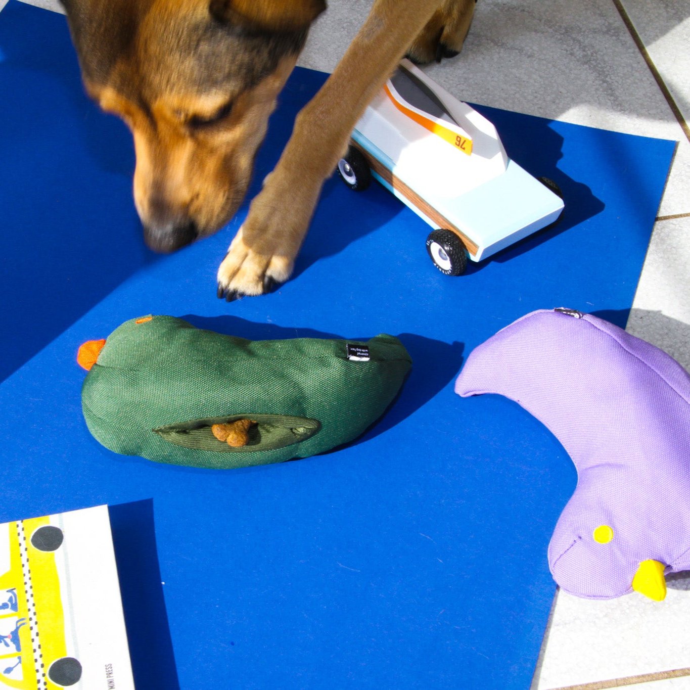 The Fritz Bird Dog Toy