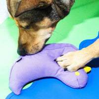 The Fritz Bird Dog Toy