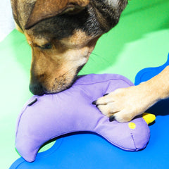 The Fritz Bird Dog Toy