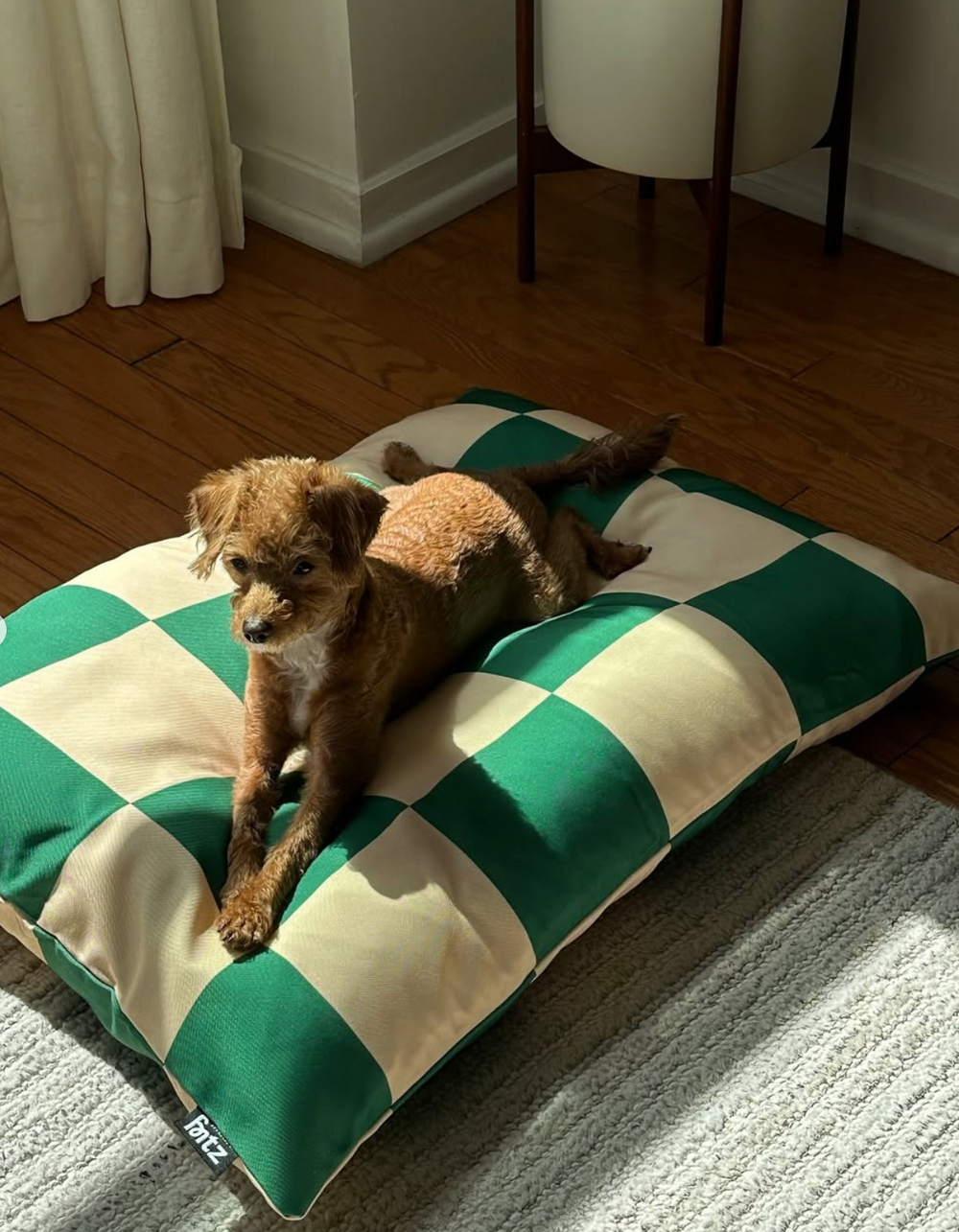 Sample Sale Beds
