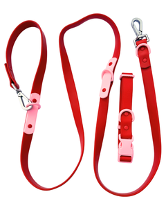 Fritz Collar + Leash Walk Set