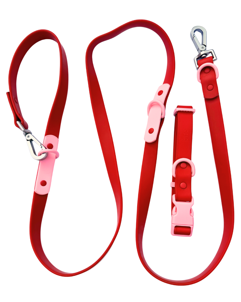 Fritz Walk Set in Cherry: matching waterproof dog collar and leash