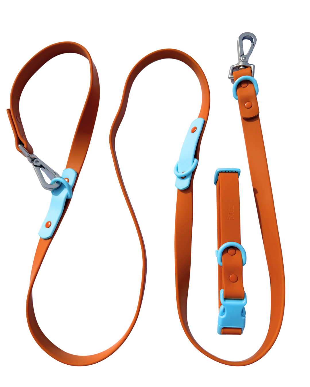 Ensemble pour promenade Fritz Walk – Laisse et collier imperméables et réglables pour chien