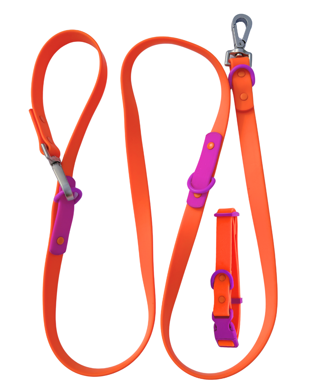 Ensemble pour promenade Fritz Walk – Laisse et collier imperméables et réglables pour chien