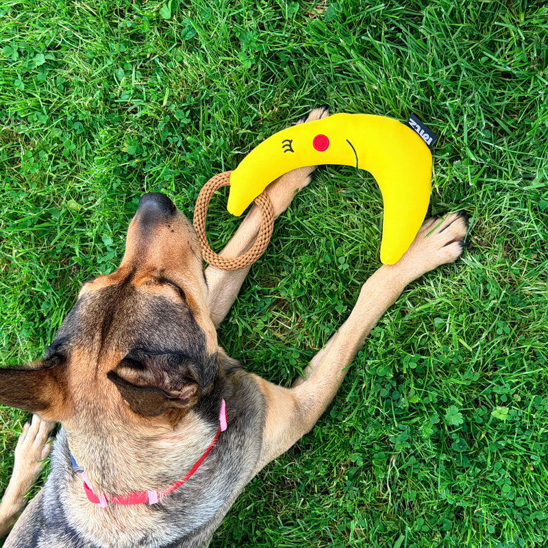Dog playing with the Luna Dog Toy on the grass