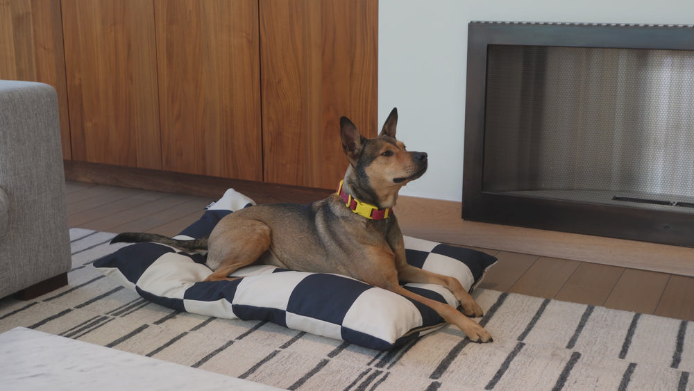 The Fritz Bed