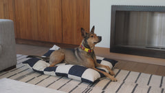The Fritz Bed