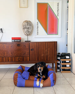 A dog lying in the Striped Fritz Nest Bed in front of a sideboard, looking at the camera