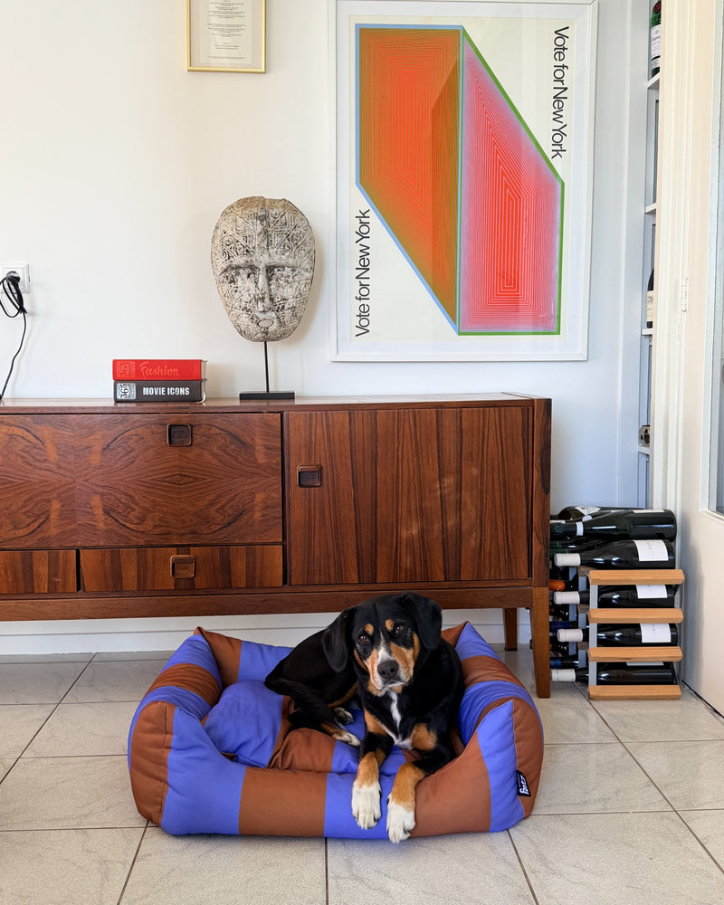 A dog lying in the Striped Fritz Nest Bed in front of a sideboard, looking at the camera