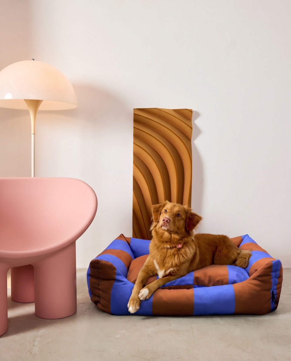 A dog resting in the Striped Nest Bed in a styled room