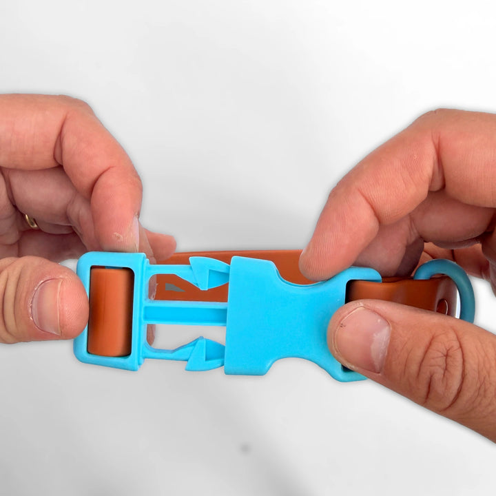 The Choco Blue collar buckle opened between two hands